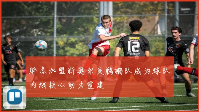 胖虎加盟新奥尔良鹈鹕队成为球队内线核心助力重建